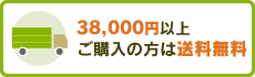 38000円以上ご購入の方は送料無料