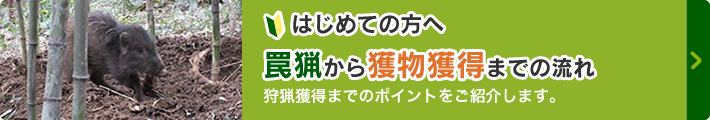 初めての方へ。罠猟から獲物獲得までの流れ。