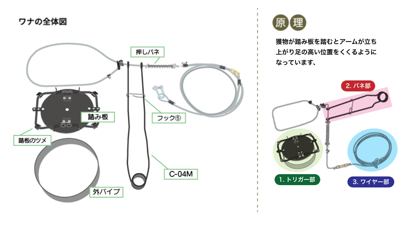 獲物が踏み板を踏むとアームが立ち上がり足の高い位置をくくるようになっています、