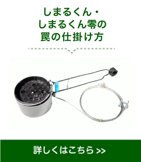 しまるくん・しまるくん零