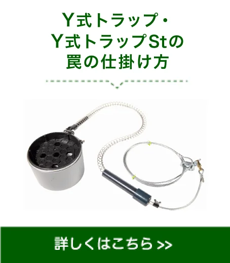 Y式トラップ・Y式トラップSt