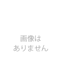 【ジャンク品】SUSワイヤー;0.75㎜　茶色　10m
